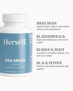 SEA MOSS